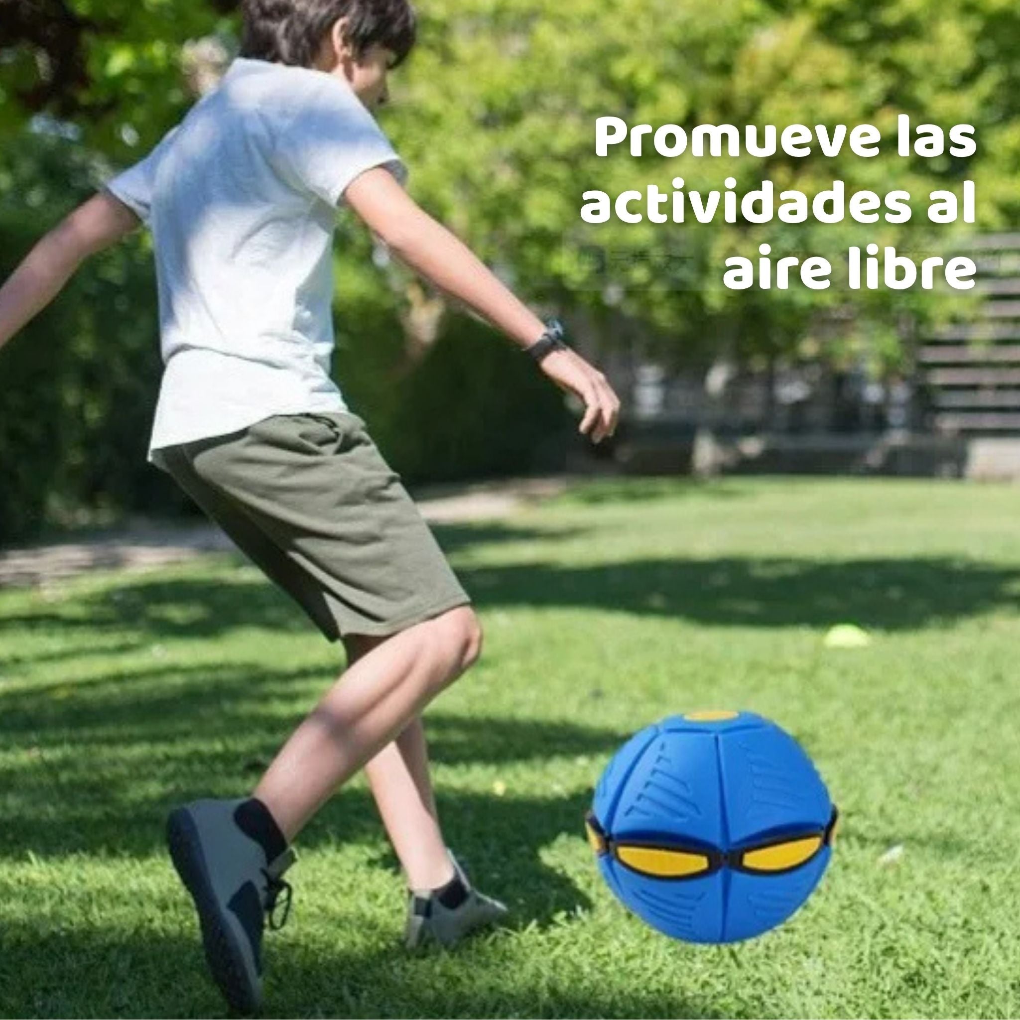 Pelota Frisbee