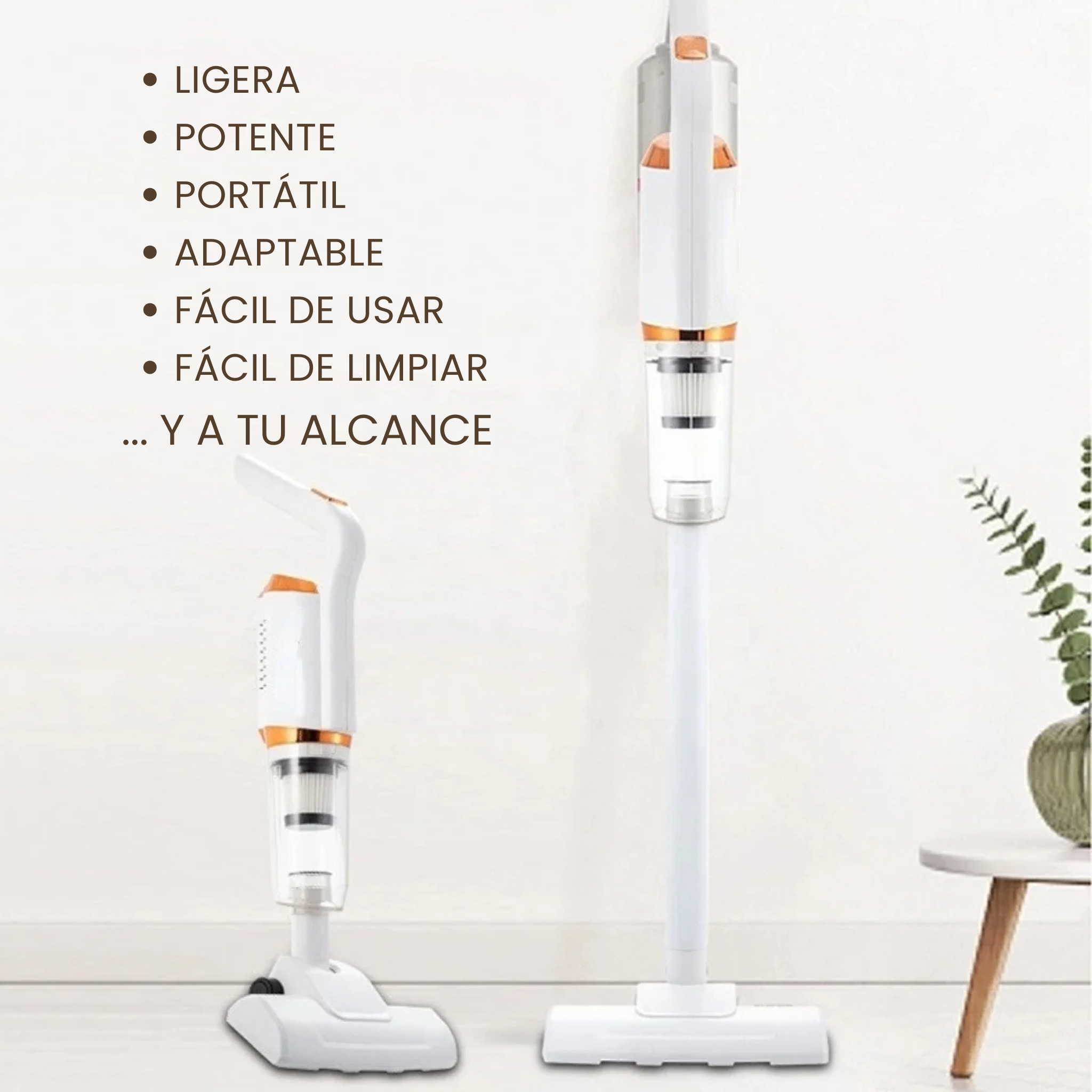 Aspiradora Inalámbrica