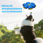 Pelota Frisbee