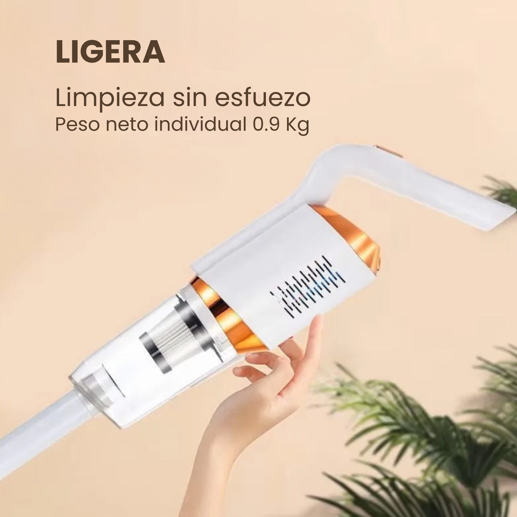 Aspiradora Inalámbrica